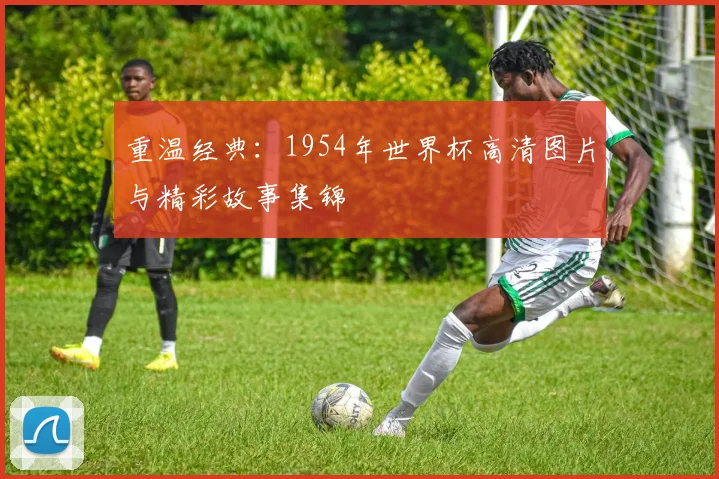 重温经典:1954年世界杯高清图片与精彩故事集锦